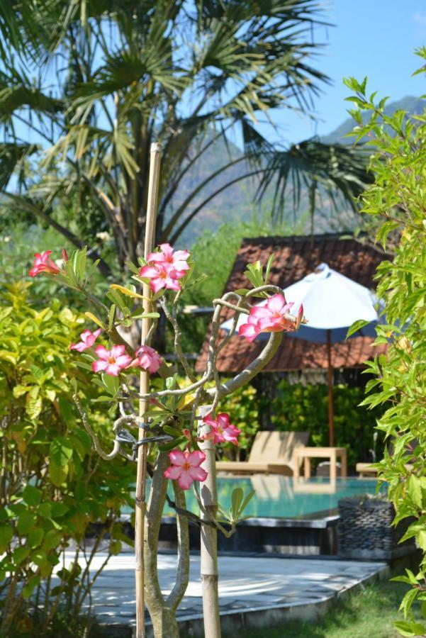 Sunia Loka Bungalows & Dive Center Pemuteran Dış mekan fotoğraf
