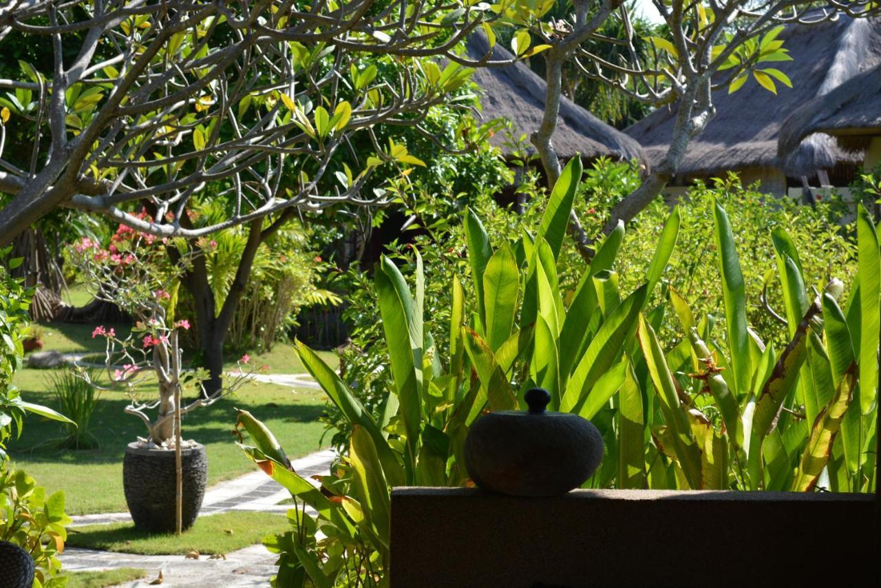 Sunia Loka Bungalows & Dive Center Pemuteran Dış mekan fotoğraf