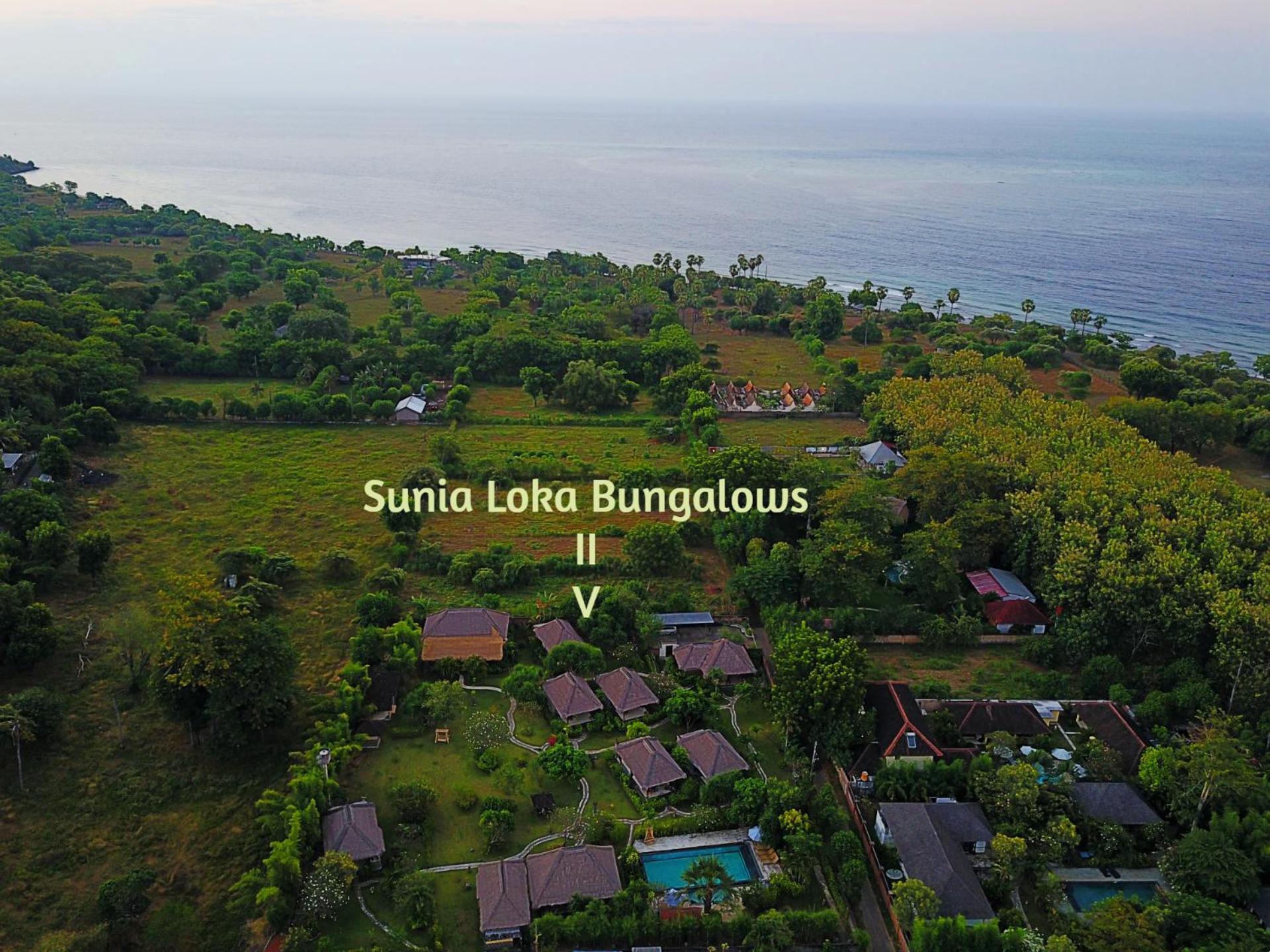 Sunia Loka Bungalows & Dive Center Pemuteran Dış mekan fotoğraf