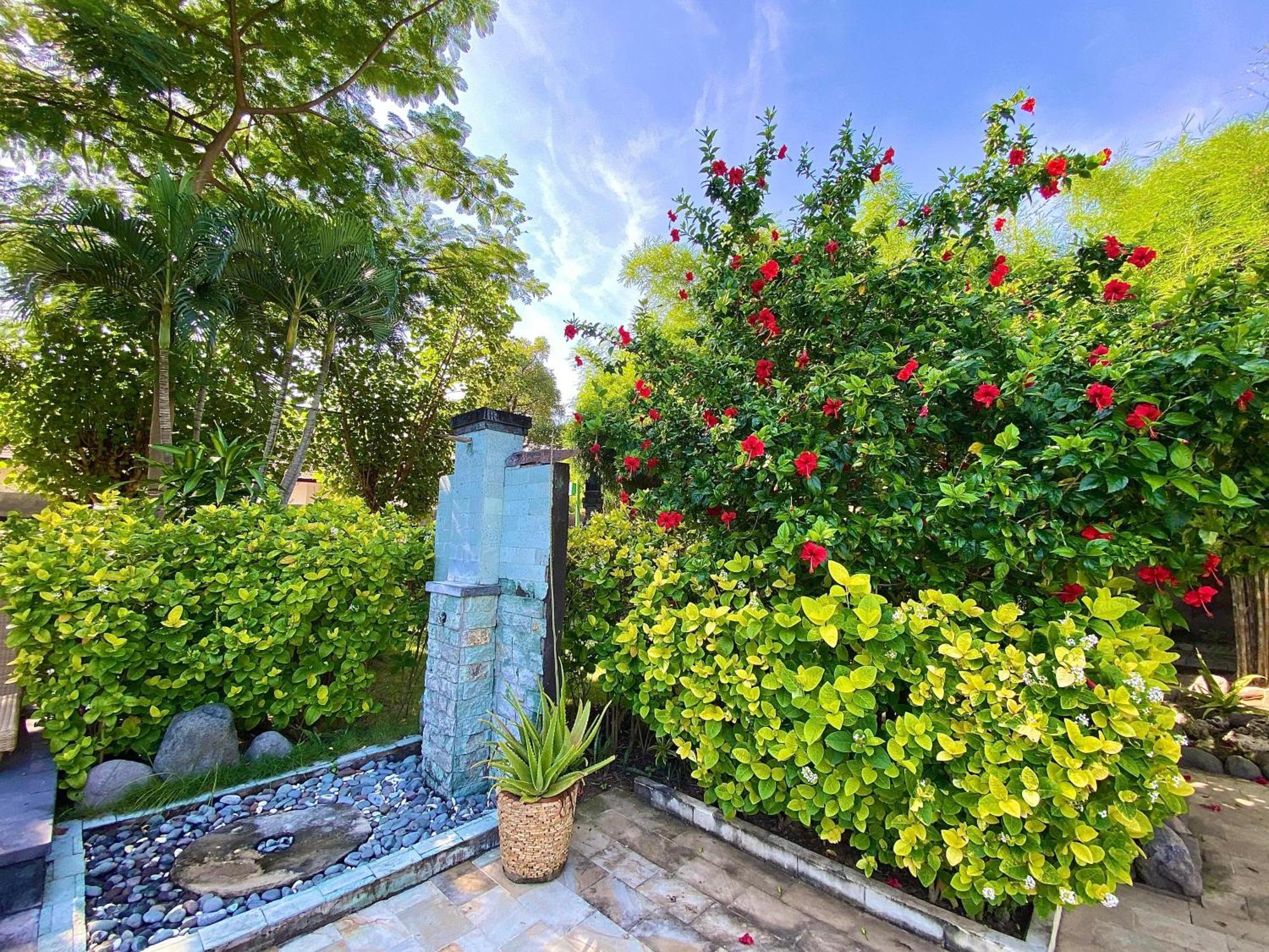 Sunia Loka Bungalows & Dive Center Pemuteran Dış mekan fotoğraf
