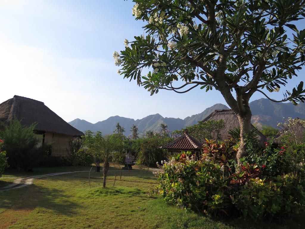 Sunia Loka Bungalows & Dive Center Pemuteran Dış mekan fotoğraf