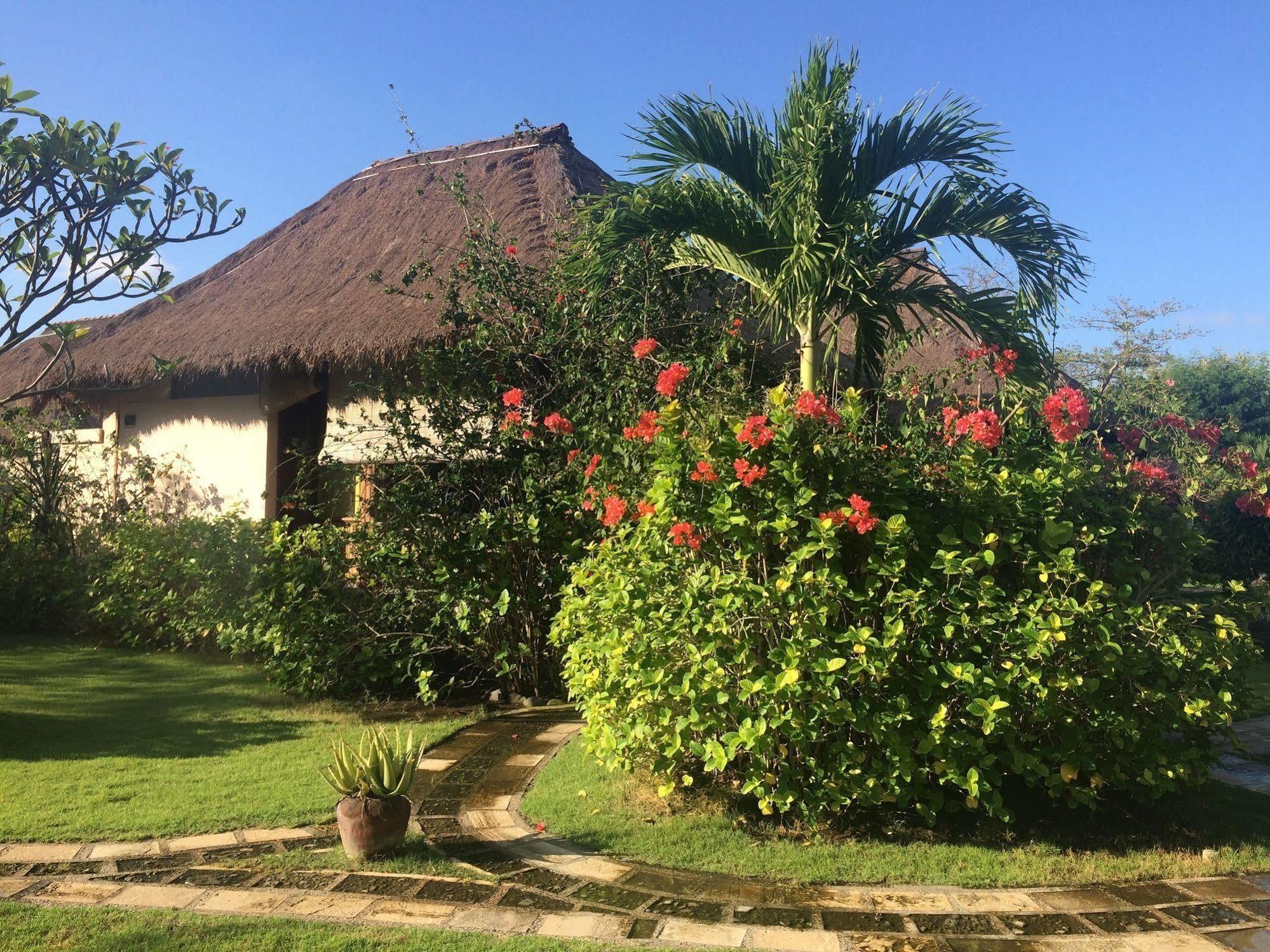 Sunia Loka Bungalows & Dive Center Pemuteran Dış mekan fotoğraf