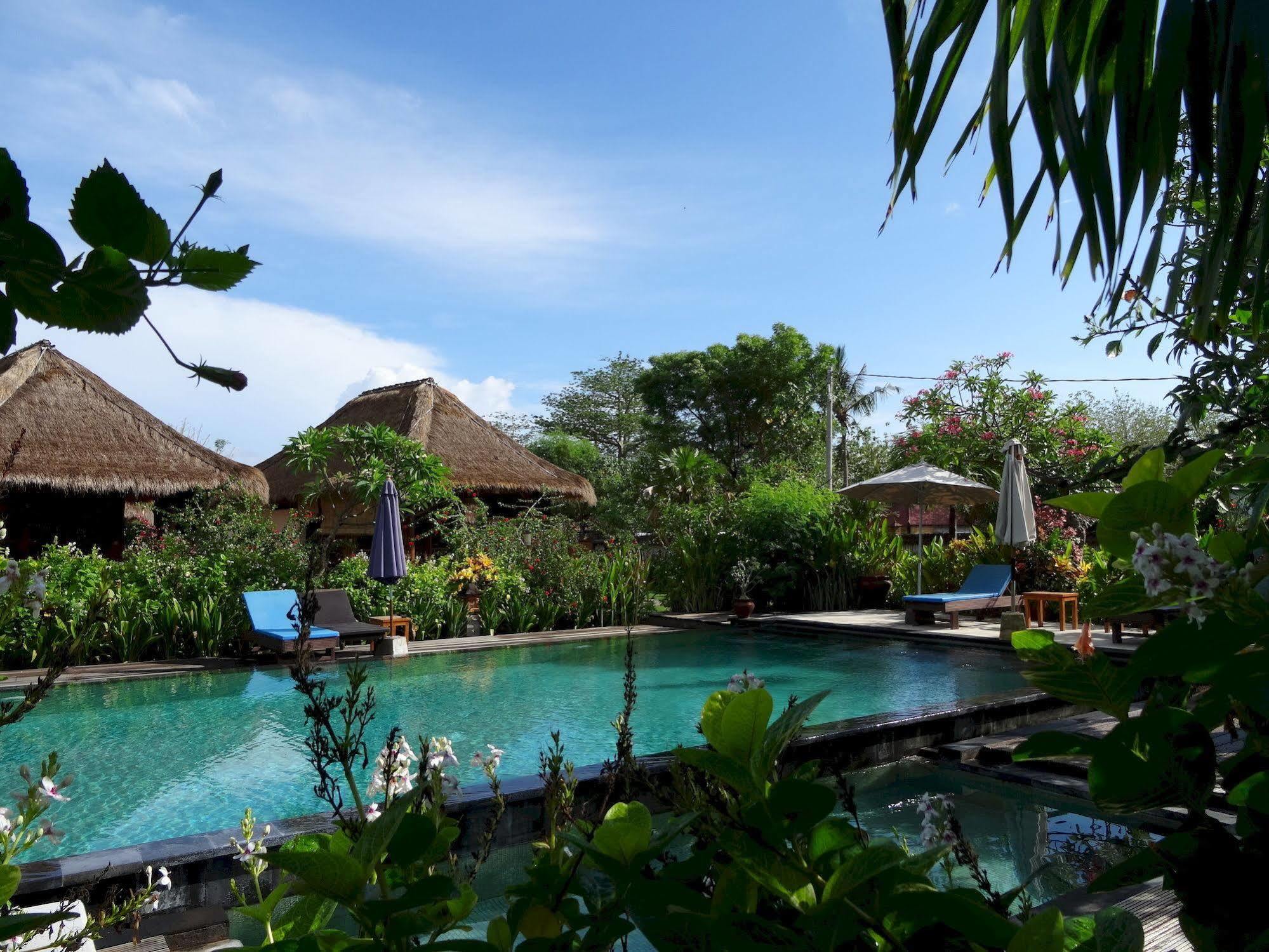 Sunia Loka Bungalows & Dive Center Pemuteran Dış mekan fotoğraf