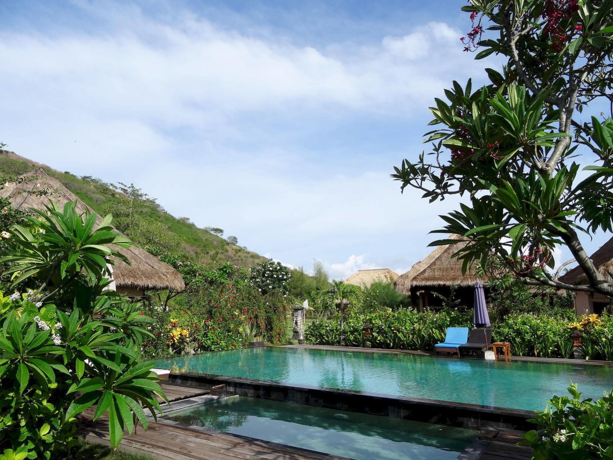 Sunia Loka Bungalows & Dive Center Pemuteran Dış mekan fotoğraf
