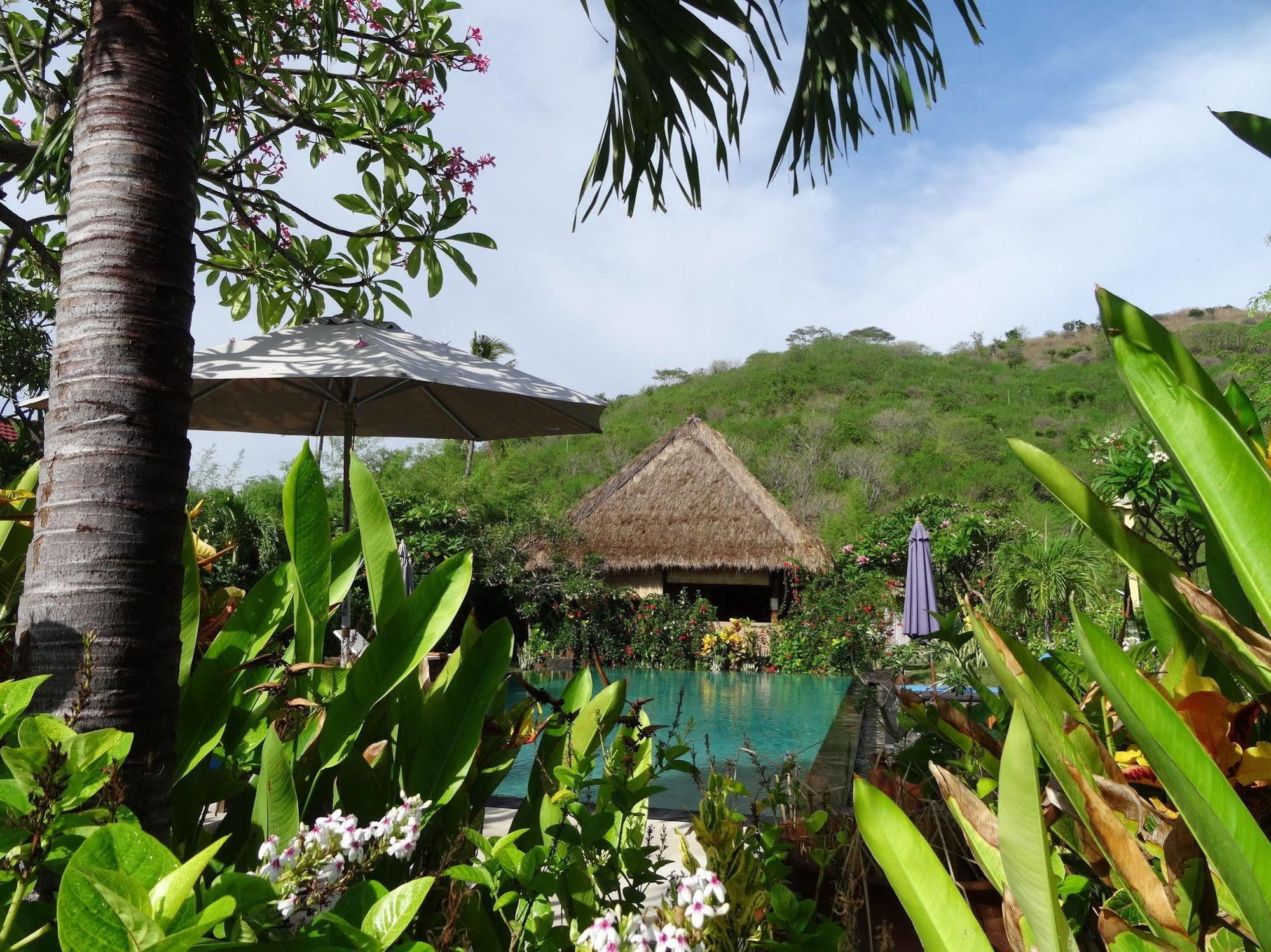 Sunia Loka Bungalows & Dive Center Pemuteran Dış mekan fotoğraf