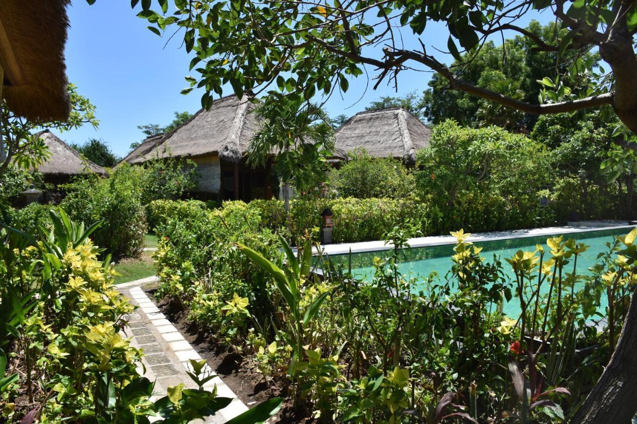 Sunia Loka Bungalows & Dive Center Pemuteran Dış mekan fotoğraf